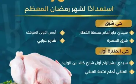 أماكن شراء الدواجن في الإسكندرية بـ 90 جنيها فقط احتفالا بشهر رمضان المبارك