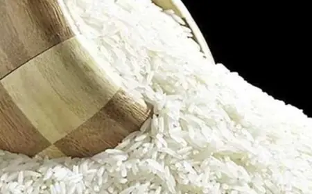 مخزون الأرز يكفي 9 أشهر واستقرار الأسعار خلال رمضان يؤكد رئيس الشعبة