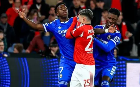 أزمة فينيسيوس ضد بنفيكا: عثمان إبراهيم يصف تصرفاته بالمستفزة