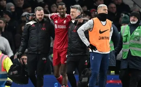 موعد عودة ألكسندر إيزاك مهاجم ليفربول إلى الملاعب؟