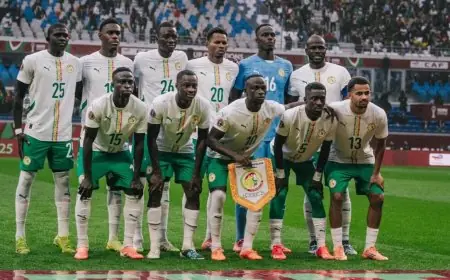 منتخب السنغال يبدأ تحضيراته لكأس العالم بمواجهة بيرو وجامبيا وديا