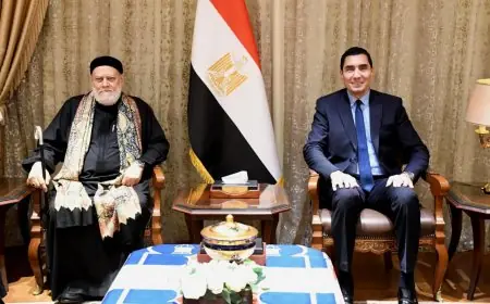 لقاء مثمر بين وزير الشباب والرياضة وعلي جمعة لاستكشاف فرص التعاون المشترك