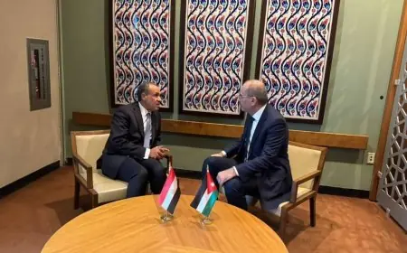 لقاء هام بين وزير الخارجية ونظيره الأردني في نيويورك لبحث مستقبل القضية الفلسطينية