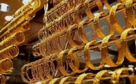 فرص عمل مميزة في البنك العربي الأفريقي الدولي 2026 التخصصات المطلوبة وخطوات التقديم المتكاملة