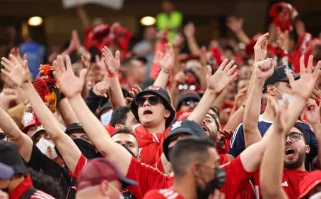 الأهلي يسهل رحلة جماهيره بحافلات مجانية إلى الإسكندرية لدعم الفريق ضد سموحة