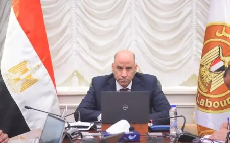 وزارة العمل توضح: العمالة غير المنتظمة غير ملزمة بالتسجيل الإلكتروني شخصيا والمنح متاحة فقط للمسجلين عبر البريد