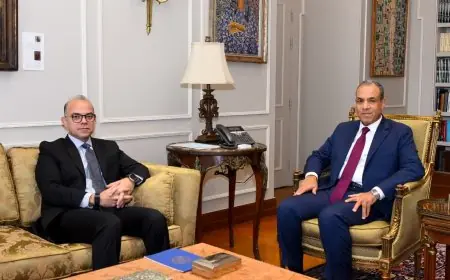 وزيرا الخارجية والاستثمار يبحثان فرص زيادة التبادل التجاري مع الدول