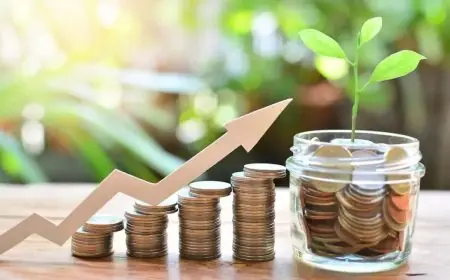 هل يمكن تقسيط زكاة المال؟ الإفتاء تشرح التفاصيل