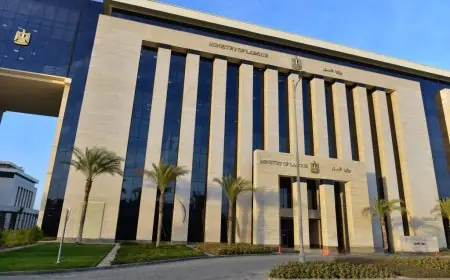 تحسن المؤشرات الخارجية يدفع احتياطيات مصر الدولية لمستويات قياسية جديدة مجلس الوزراء يعلن