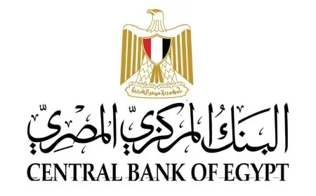 41.5 مليار دولار تحويلات المصريين بالخارج تعزز الاقتصاد في 2025