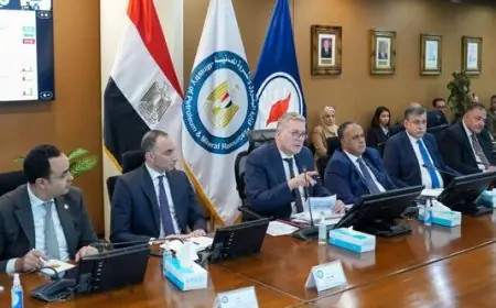 وزير البترول يشدد على دور التكنولوجيا في تعزيز الاستفادة من الفرص البترولية بخليج السويس