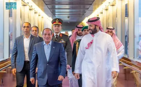 وصول الرئيس السيسي إلى السعودية بأمان لتعزيز العلاقات الأخوية بين البلدين