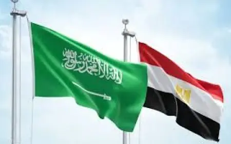 عبدالمنعم سعيد: التحالف المصري السعودي يثير قلق إسرائيل