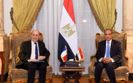 اجتماع حاسم بين وزير الخارجية والمبعوث الشخصي للرئيس الفرنسي لمناقشة الشأن اللبناني