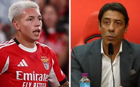 رئيس بنفيكا يعلن براءة بريستياني من اتهامات فينيسيوس