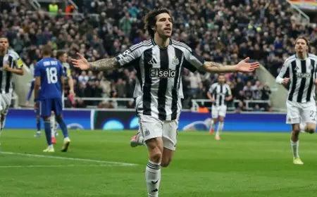 نيوكاسل يواصل انتصاراته أمام كاراباغ ويتأهل لدور الـ16 في دوري أبطال أوروبا