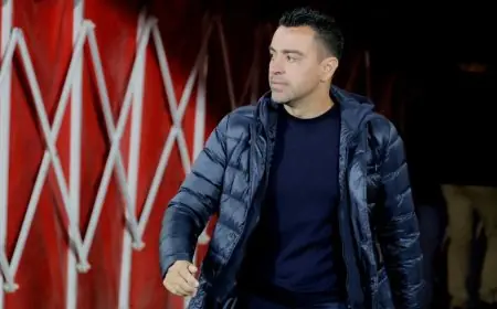 تشافي هيرنانديز يتصدر المشهد كمرشح لخلافة الركراكي في قيادة المنتخب المغربي