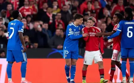 قمة نارية: مواجهة ريال مدريد وبنفيكا في دوري أبطال أوروبا
