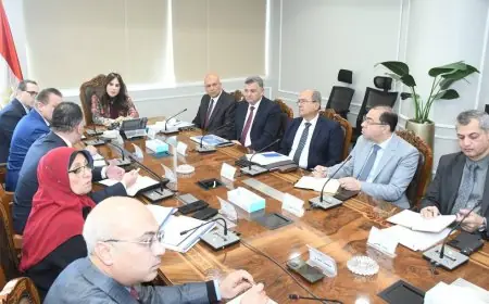 وزيرة الإسكان تناقش مع رئيس التنمية الحضرية تفاصيل إطلاق حديقة تلال الفسطاط