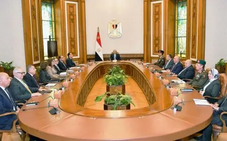 الرئيس السيسي يؤكد على أهمية اختيار الأكاديمية الوطنية لتدريب الشباب بناءً على معايير موضوعية ودون مجاملات