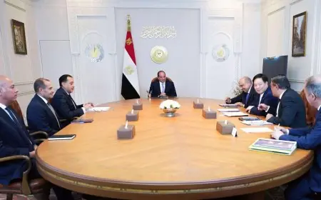 الرئيس السيسي يناقش شراكة استراتيجية مع رئيس شركة GCL الصينية لتعزيز الطاقة المتجددة في مصر