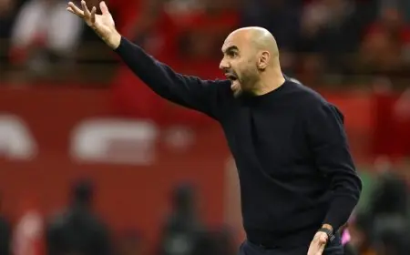 المغرب يعلن اختيار مدرب محلي خلفاً لوليد الركراكي