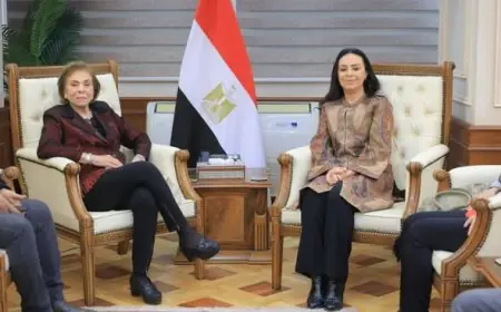 وزيرة التضامن تبحث مع وفد مهرجان أسوان الدولي لأفلام المرأة التحضيرات للدورة العاشرة المرتقبة