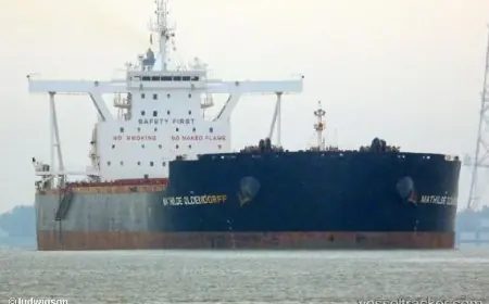 ميناء شرق بورسعيد يستقبل ثالث أضخم سفينة صب جاف منذ انطلاق تداول بضائع الصب