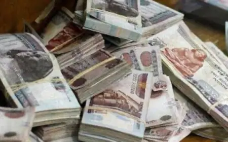 التموين توفر إمكانية تقسيم منحة الـ400 جنيه للصرف على مدار الشهر