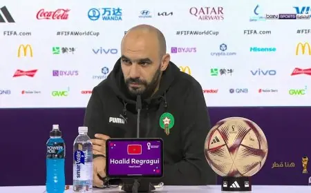 الاتحاد المغربي يؤكد استمرار وليد الركراكي كمدرب لأسود الأطلس