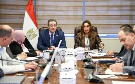 وزيرة التنمية المحلية والبيئة تناقش تحسين الهياكل التنظيمية بالوزارة مع رئيس الجهاز المركزي للإدارة