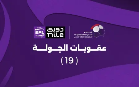 غرامات مالية بالجملة في عقوبات الجولة 19 من الدوري المصري