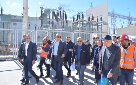 وزير الكهرباء ومحافظ الإسكندرية يتجولان في محطة محولات برج العرب لتعزيز البنية التحتية الترفيهية
