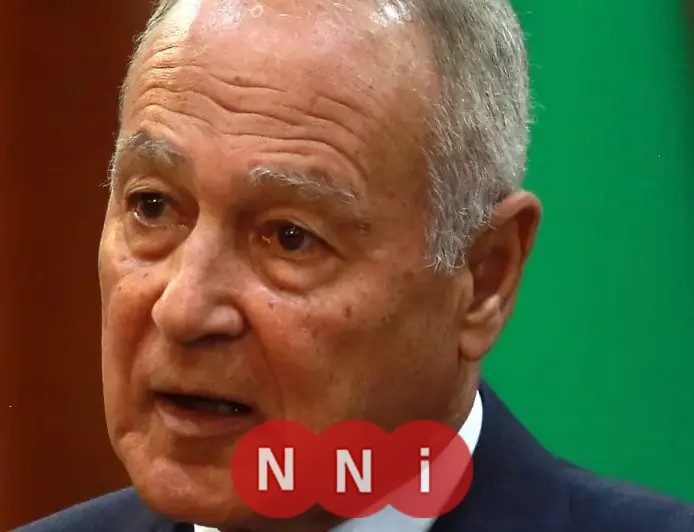 أبوالغيط يؤكد أهمية حماية الجامعة العربية وتقوية العمل المشترك لمواجهة التدخلات الخارجية