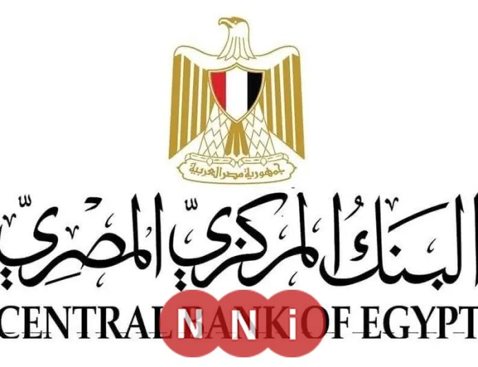 البنك المركزي يكشف: تمويلات بقيمة 19 مليار جنيه تساهم في دعم 14 ألف مشروع عبر مراكز تطوير الأعمال