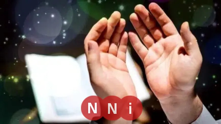 دينا أبو الخير تكشف عن استراتيجية فعالة لسداد الديون الصعبة