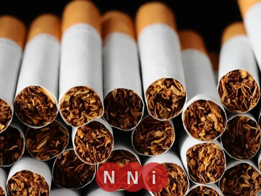 تعرف على أسباب زيادة أسعار السجائر الأجنبية في مصر وكيف تؤثر عليك