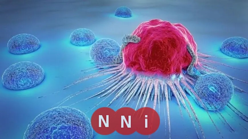 اكتشف الأسباب الرئيسية لانتشار السرطان في العصر الحديث