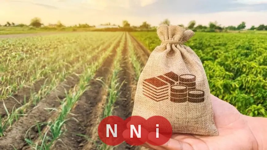 رسمياً فوز مبادرة حياة كريمة بجائزة دبي لأفضل ممارسات التنمية المستدامة