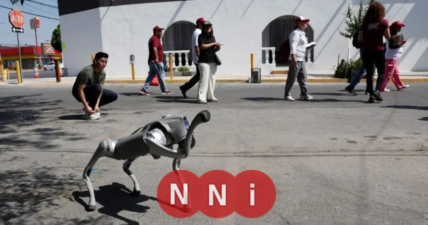 المكسيك تعتمد على كلاب آلية لتعزيز الأمن في كأس العالم 2026