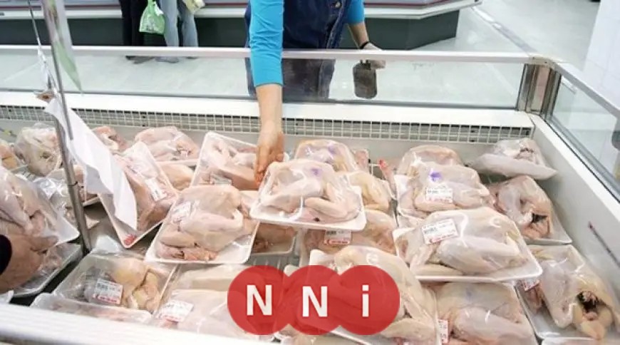 هبوط حاد في أسعار الفراخ بمعارض أهلاً رمضان: 20 جنيهًا للكيلو