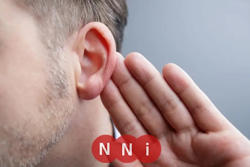 إطلاق منظومة رقمية مبتكرة لرصد التلوث السمعي في مدن القناة لحماية السمع