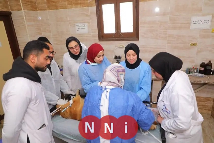 تحصين وتعقيم آلاف الكلاب ضمن حملة مكافحة السعار 8254 كلب حر و1122 معقم منذ يناير