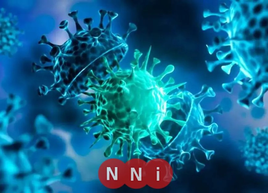 تعرف على كيفية تعزيز أزمة كورونا لمفهوم ريادة الأعمال في مصر