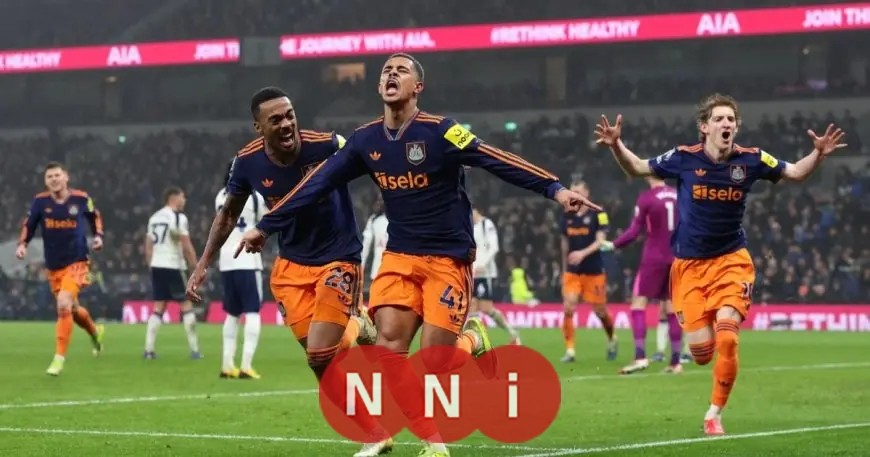 نيوكاسل يستعيد قوته وتوتنهام يواجه المزيد من التحديات