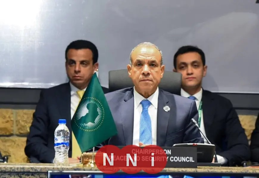 وزير الخارجية يقود جلسة مشاورات مجلس السلم والأمن حول السودان