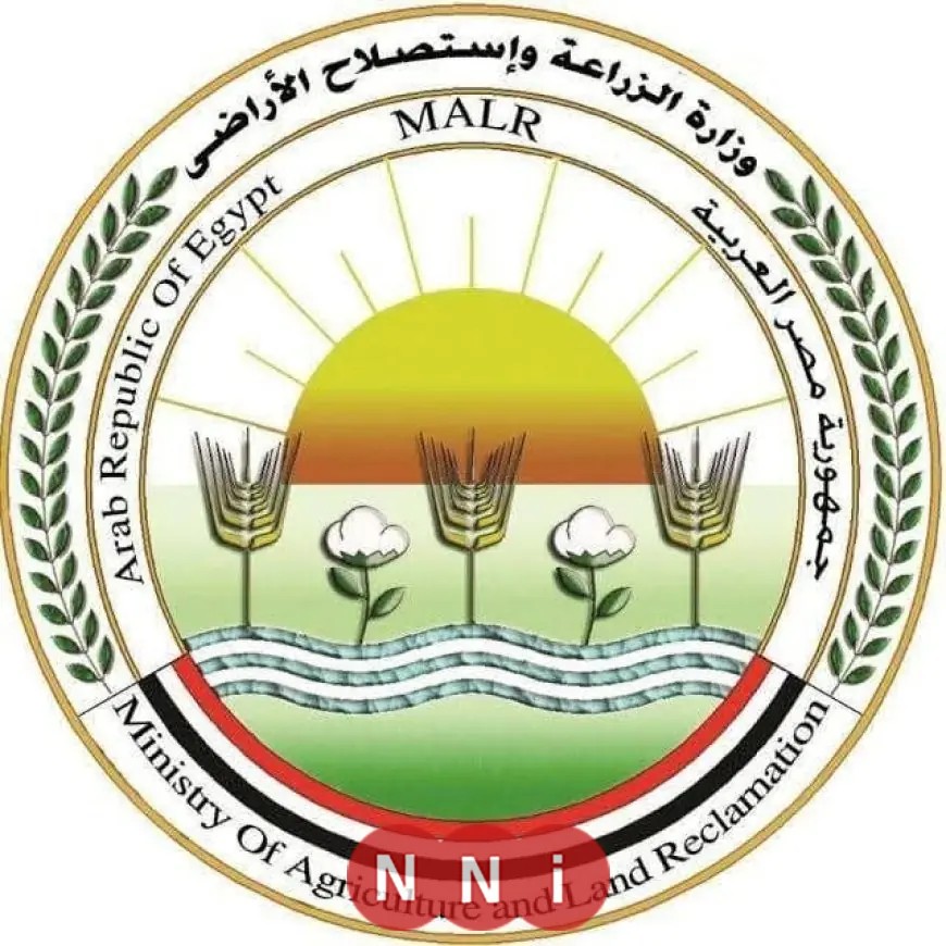 توصيات عاجلة من وزارة الزراعة للمزارعين لتفادي آثار التقلبات الجوية السلبية