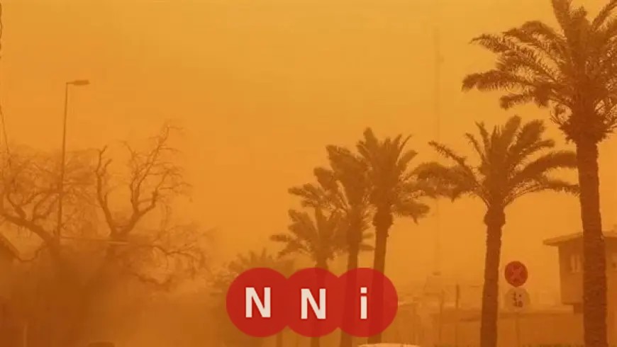 وزارة الصحة تنبه مرضى الجيوب الأنفية والحساسية بتجنب الخروج خلال العاصفة