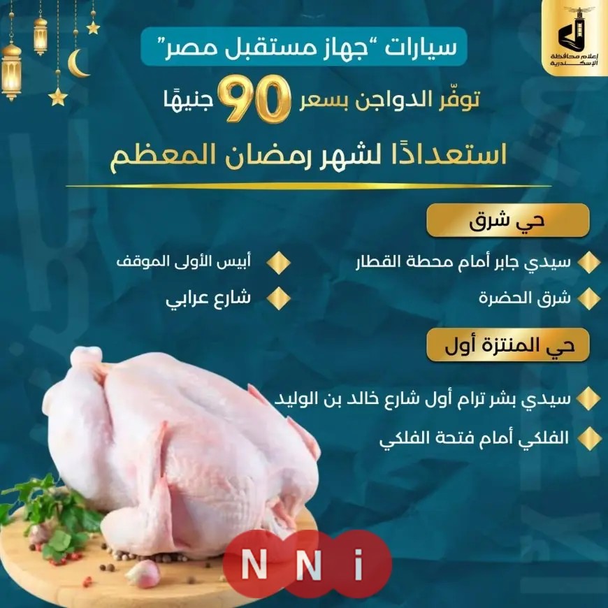 أماكن شراء الدواجن في الإسكندرية بـ 90 جنيها فقط احتفالا بشهر رمضان المبارك