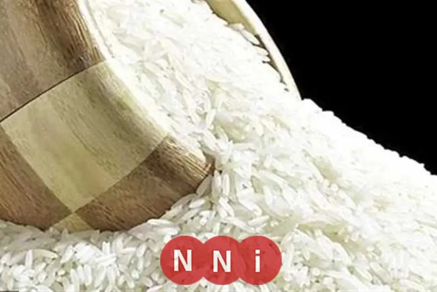 مخزون الأرز يكفي 9 أشهر واستقرار الأسعار خلال رمضان يؤكد رئيس الشعبة